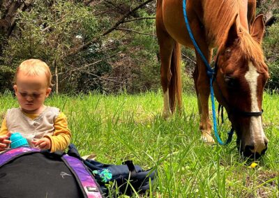 baby boy playing with blue drink bottle next to a peacefully grazing brown horse with white stripe on lush green meadow