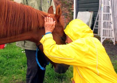 old woman in yellow raincoat and brown horse intimately touching head on head, women is resting her left hand on the back of the horses head, both their eyes almost closed