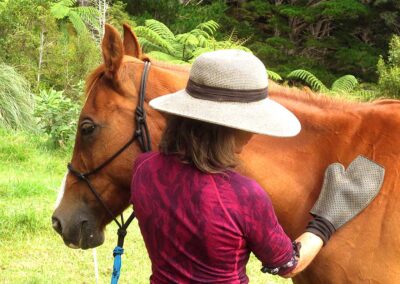 woman with burgundy shirt and large, lgiht coloured hat with brown band who is mindfully brushing and in deep connection with a relaxed, brown horse
