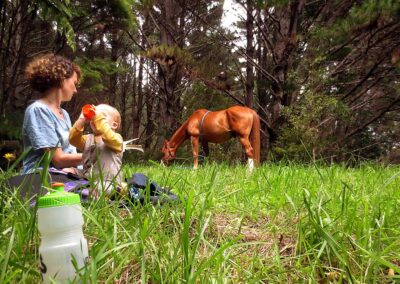 young mother and child sitting on ground in a lush green meadow with a beautiful brown horse grazing nearby, drink bottle with green lid in foreground, wodds in background