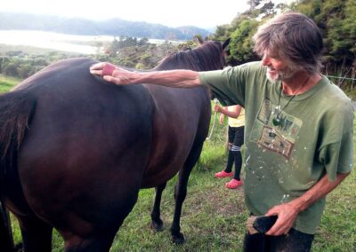 midfdle aged man with beard and olive green t-shirt happily grooming big, dark-brown horse in beautiful landscape by the sea