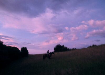 two people and horses – one seated on the back of one of the horses – at dusk with dark slihouetted trees and purple evening sky