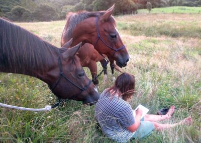 young man with striped t-shirt and long brown hair looking down and writing something into a notebook, sitting on ground in tall grass, two brown horses immediately next to him and intently looking from behind at what he's doing