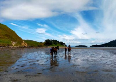 people and horses walking through tidal flats, blue sky with flimsy white clouds reflecting in the wet ground, soft green hills and islands in the background