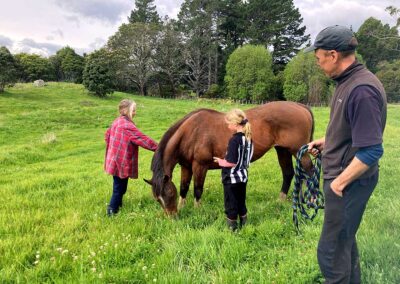 lush green paddock with tall trees behind it, woman in red shirt stroking a grazing horse with girl in black and white striped shirt standing nearby, man in dark clothers holding a coiled up halter and rope in foreground watching the scene