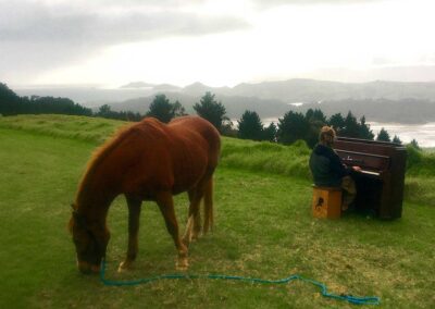 grazing chestnut horse with blue lead rope lying on grassy ground with a piano player playing his piano nearby, in open air setting with breathtaking view of islands and the sea