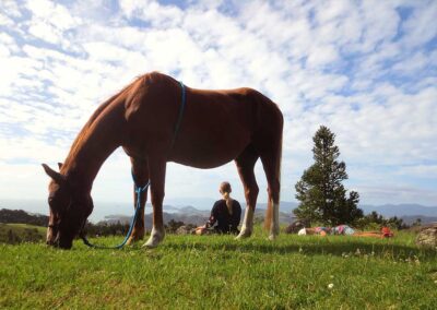 grazing chestnut horse with blue lead rope tied round his chest, sitting woman visible further behind framed by horse's legs and tummy, child lying on tummy in grass nearby, big tree in background and very wide vista into the distant sea- and landscape, pretty fluffy clouds