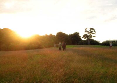 people with horses in wide grassy area showing late evening sunlight by forest edge with sun setting behind them