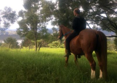 man in black clothes sitting bareback on chestnut horse in lush grass under trees looking out into the distance