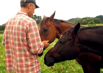 man in orange checkered shirt and black cap and two horses without halters looking at him, the man is gently holding the snout of one of the horses, green, lush paddock and trees