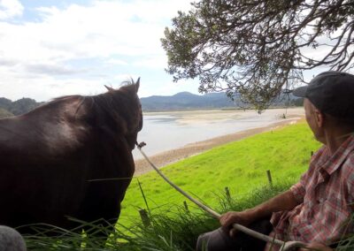 man in chequered shirt and black cap sitting in grass with his big brown horse on a white lead rope, both looking off into the distance over the estuary