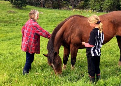 woman in red checkered shirt stroking grazing brown horse in lush green paddock, blond girl in black and white striped shirt standing by and looking
