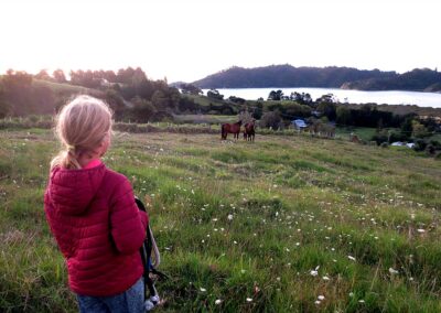 blond girl in red puffer jacket holding halter and rope, looking at 2 horses in distance who are looking back, white flowers in long grassy paddock which is gently sloping down towards the sea or a lake in background