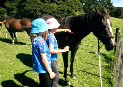 2 girls with different coloured hats wearing identical blue shirts brushing the mane of a brown horse, with a chestnut horse and person in red shoes in background