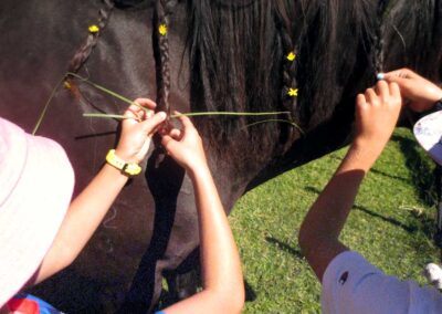 two children's hands plaiting a brown horse's mane with yellow flowers and green ties