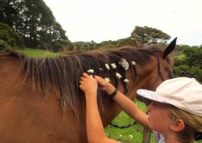 young girl in pink cap plaiting the dark brown maine of a brown horse with white flowers