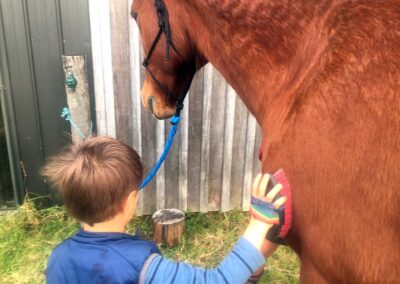 little boy in blue clothes brushing shoulder of chestnut horse, back view