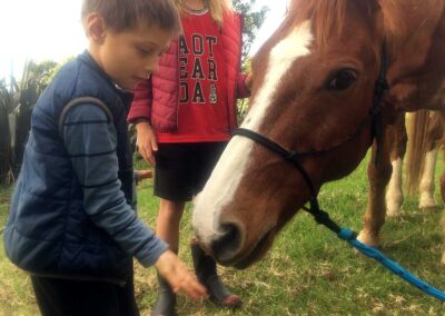 little boy in blue clothes feeding chestnut horse from his hand
