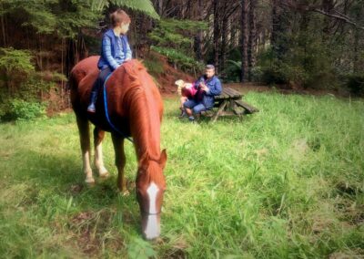lttle boy in blue clothes sitting bareback on grazing chestnut horse on a clearing in the forest, two people stting at a picnic table in background