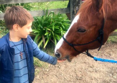little boy in blue clothes feeding chestnut horse from his hand, smiling