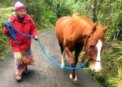 elderly woman in red coat and woolen hat leading a chestnut horse on a slack, blue lead rope through native NZ bush