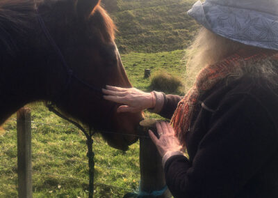 close up photo of a horse's head and a woman with hat from the back not showing the face, gently touching the face of the horse