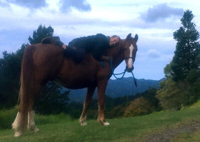 young man lying on the back of a horse, very realxed, evening photo, distant hills in the background, pine tree on the rght