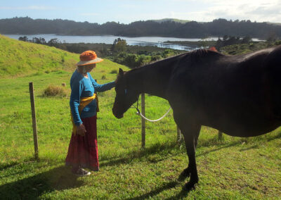 peaceful scene of an elderly woman in wide brimmed hat wearing a long skirt gently touching the forehead of a big brown horse in an open landscape by the sea